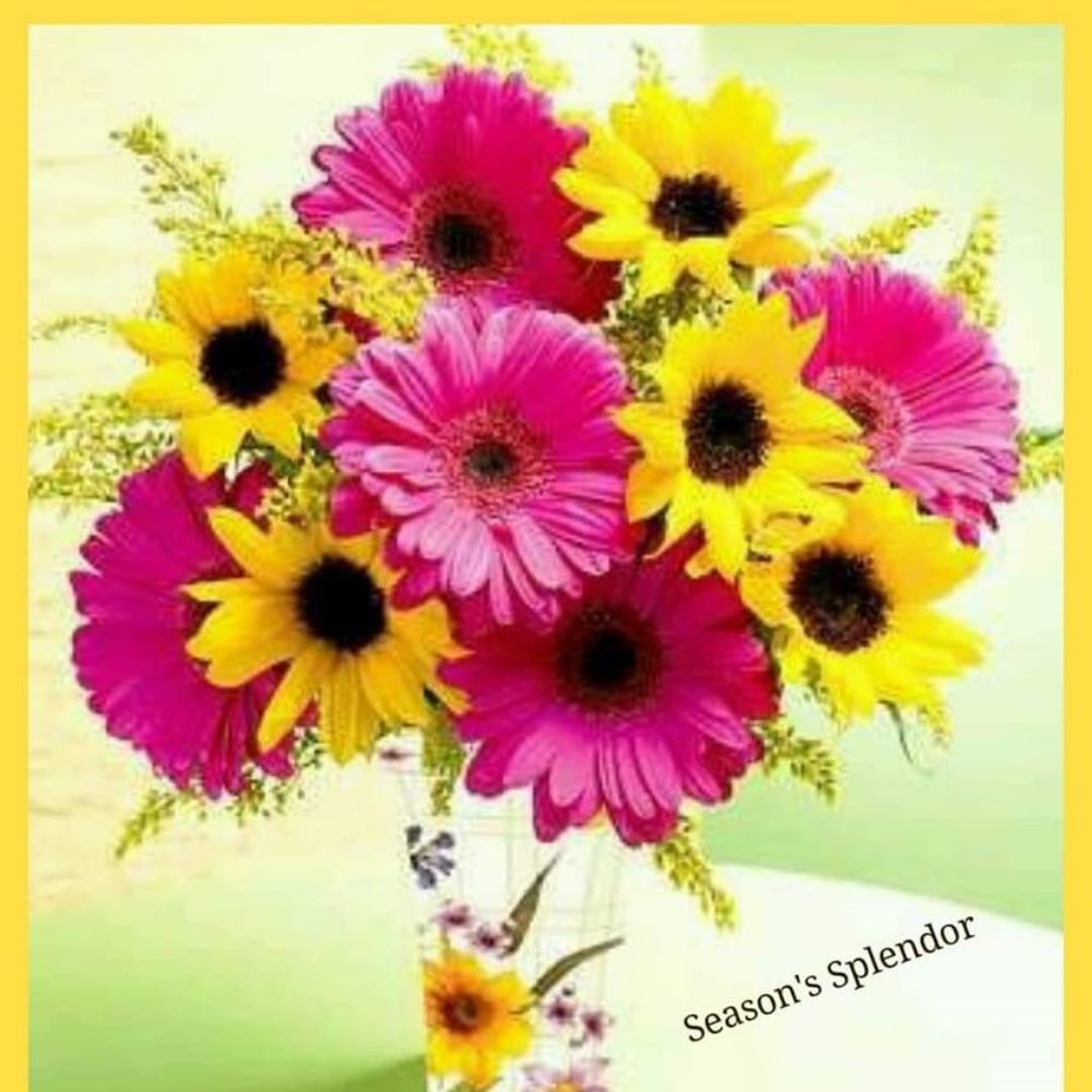 HAVE A BEAUTIFUL DAY!